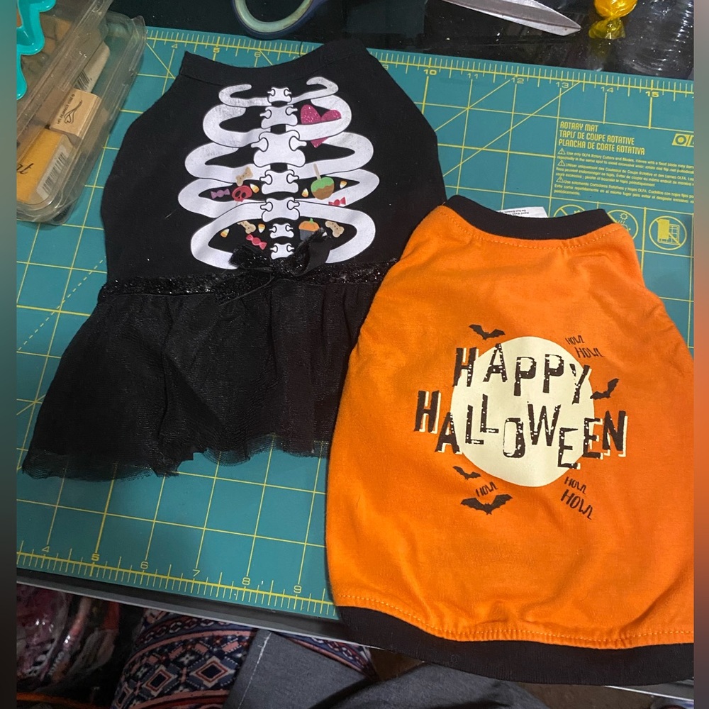 Dog costumes 2pc bundle #3